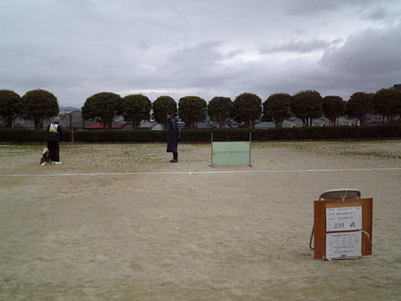 201003093.jpg